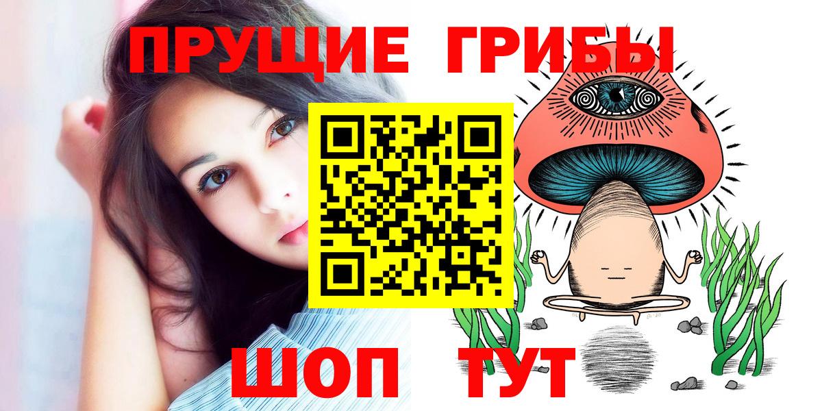 Псилоцибиновые грибы Psilocybe Черногорск